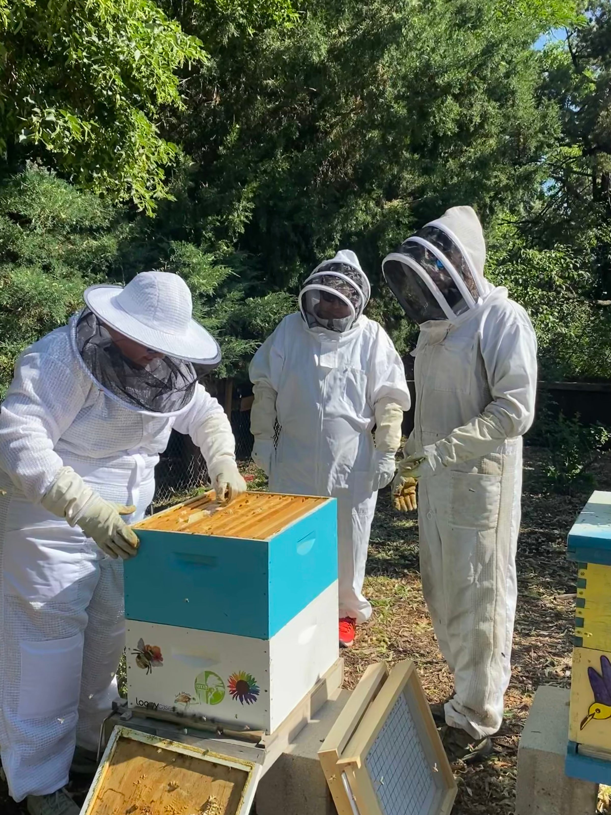 Become a Beekeeper: 8 Steps to Getting Started with Honeybees • The Prairie  Homestead